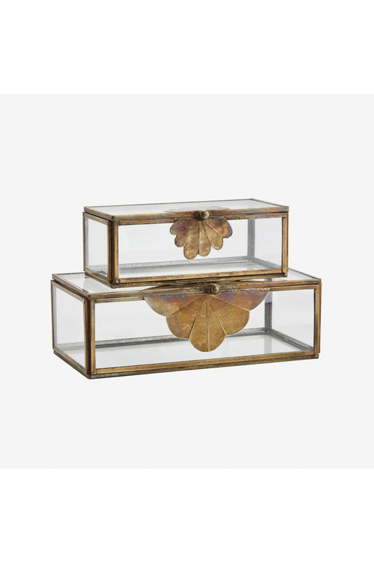 Glass Boxes w/ leaf