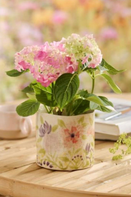 Skjuler Flower