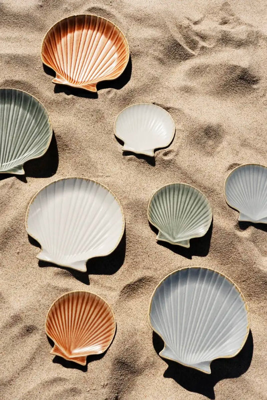 Sea Shell Light Blue