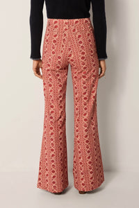 Calypso pant - coral