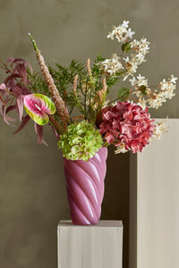 Hydrangea stilk - blomst
