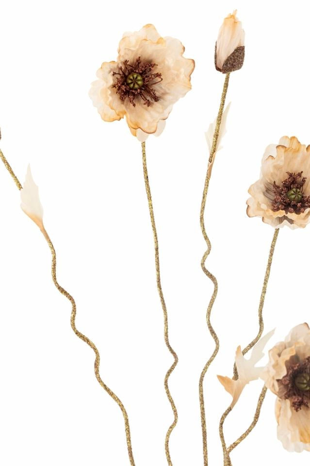 Poppy stilk - blomst natur
