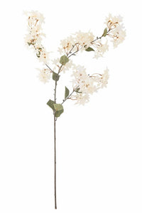 Myrtle gren - hvid blomst