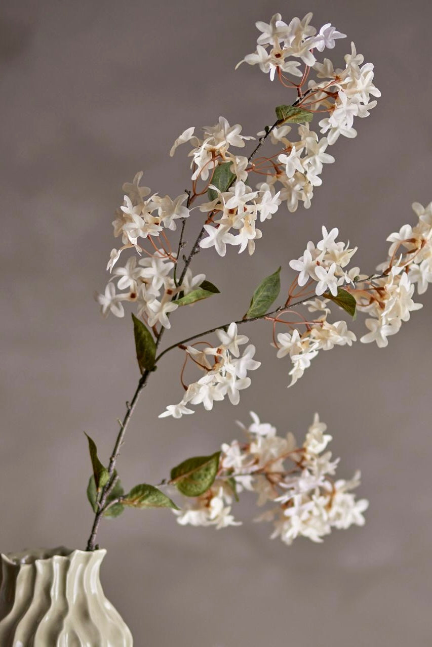 Myrtle gren - hvid blomst