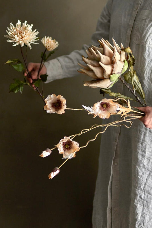 Poppy stilk - blomst natur